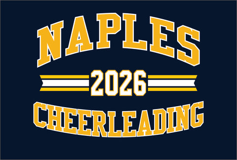 NHS Cheerleading